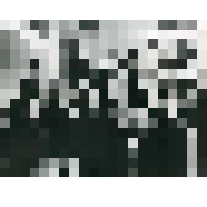 Фотография. Рязанская делегация на XXIII съезде КПСС с космонавтом Гагариным Ю.А