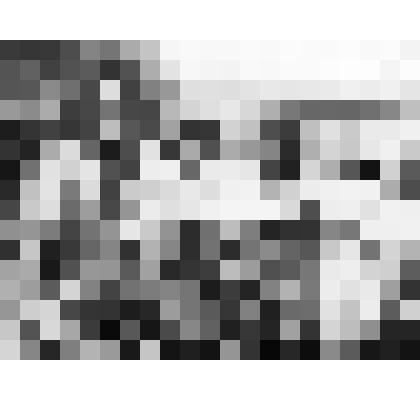 Фото чёрно белое сюжетное : выступление агитбригады районного Дома культуры