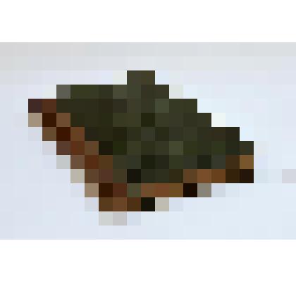 Сочинения т.5