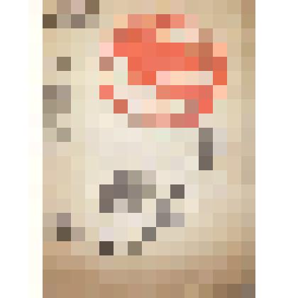 Книга "Германия пробуждается"