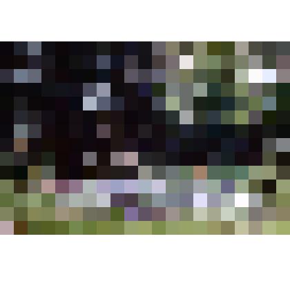 Диапозитив. Бульвар. (189)