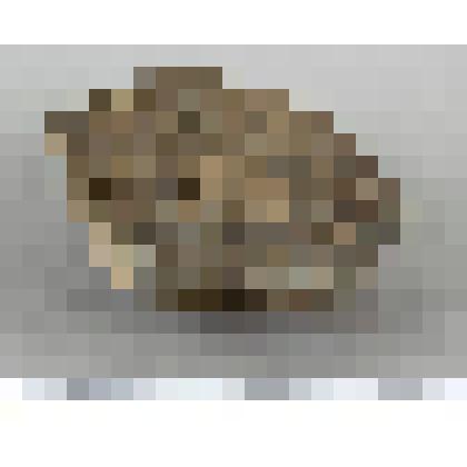 Заготовка рубящего орудия