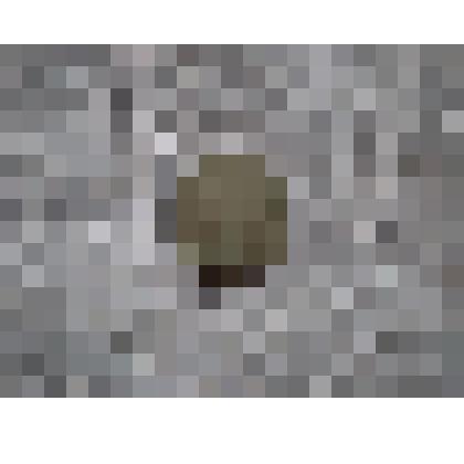 Монета 10 копеек 1978 г