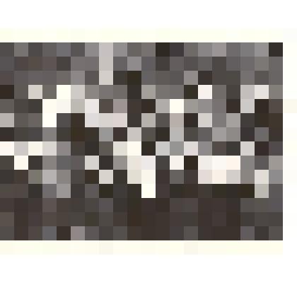 Фотография: митинг, посвященный дню рождения комсомола в г.Камень-на-Оби Алтайского края