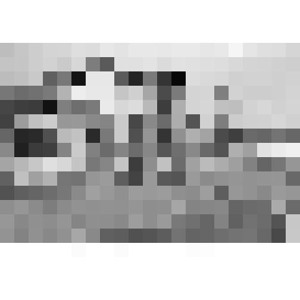 Фотография. Торговые ряды