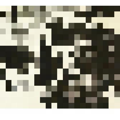 Женщины из Мухор-Тарханы