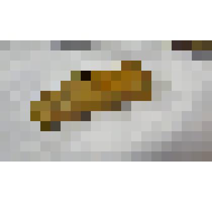 Лапоть из березовой коры