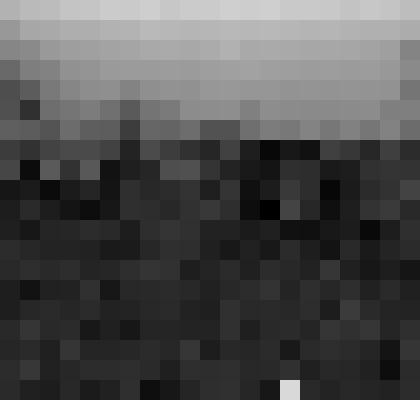 Негатив. На субботнике в парке Победы