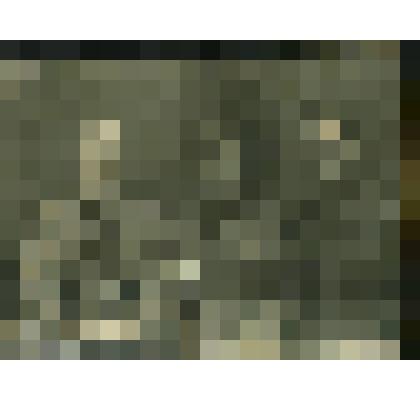 Фотопортрет групповой. Котюнин П.А. в госпитале