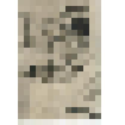 Открытка. Бюст Л. Н. Толстого. Н. Аронсон. Гипс. 1901г