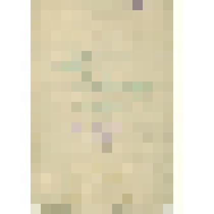 Журнал исходящих  бумаг  Сольвычегодского  музея