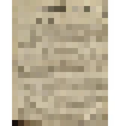 Газета. Русское знамя. № 242 (2 л.;)