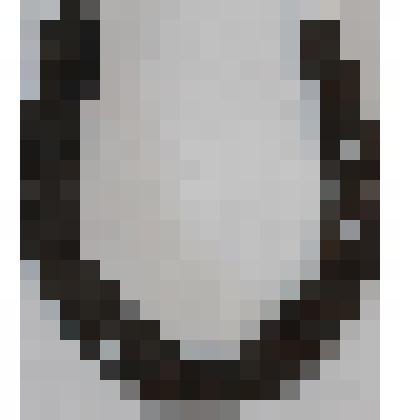 Подкова конская