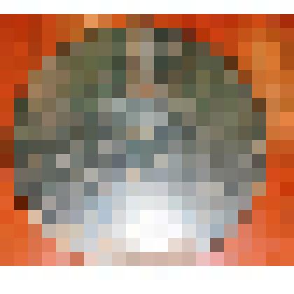 Магазин от ручного пулемета Дегтярева образца 1927 г