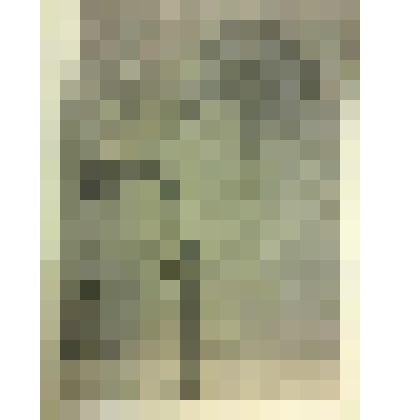 Графика. "Завертело, закрутило". Из серии "Деревья как люди". На обороте паспарту - стихотворение Е.Пашутиной