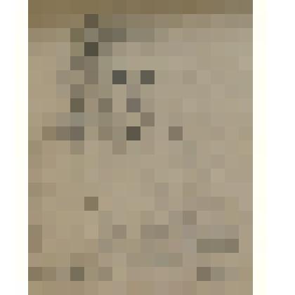 Портрет Зинаиды Ивановны Пушкиной