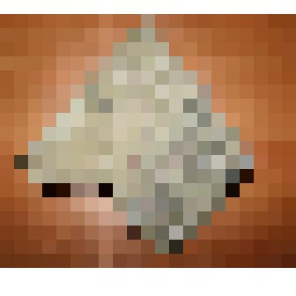 Офикальцит