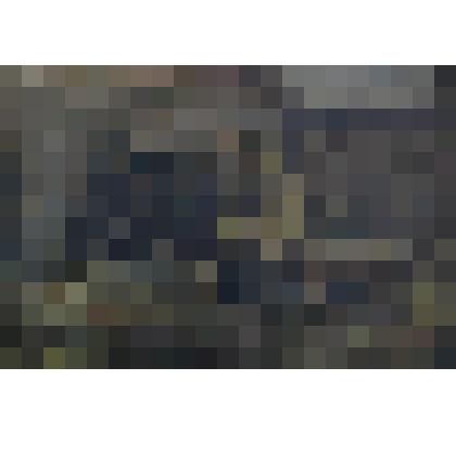 Картина. "Академическая постановка с лошадью"