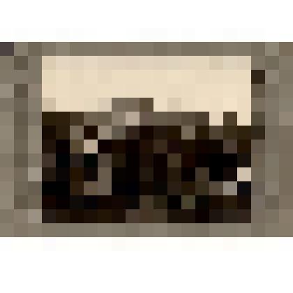 Фото групповое: курсанты Волоколамской политшколы. 1927 г