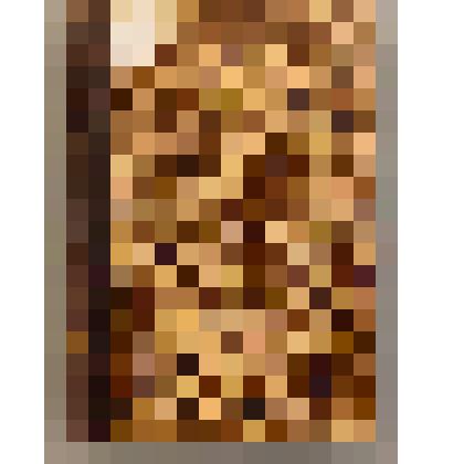 Сборник. Образцы народной литературы северных тюркских племен. Часть V. Наречие дикокаменных киргизов / В.В. Радлов. - СПб.: Имп. АН., 1885. - 26 с., 599 с