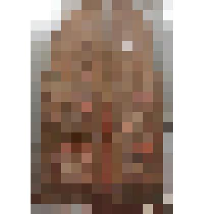 Царские врата (створа левая)