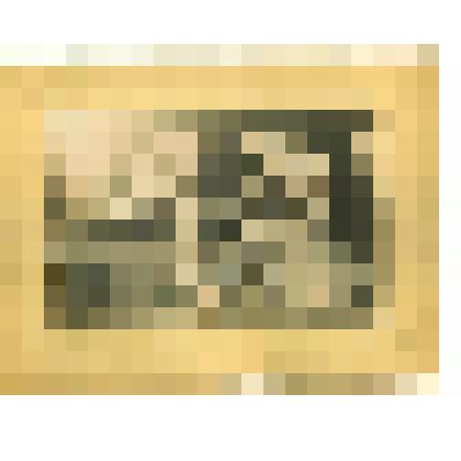 Фотография. Балахнинский уезд, с. Катунки. Производство опойки