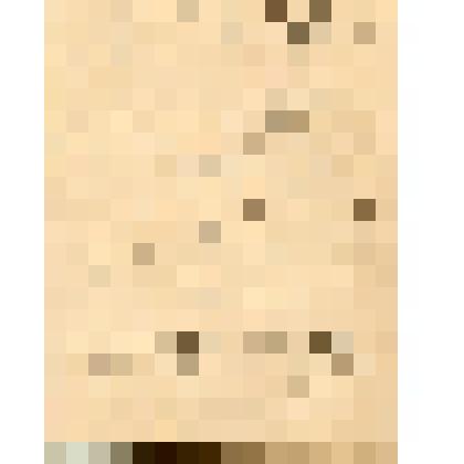 Автограф письма Антона Контского, 1862 г