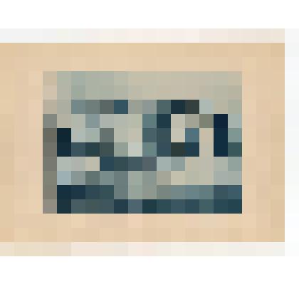 Лист. Музей Севастопольской обороны. Из альбома "Виды г. Севастополя и Окрестностей"