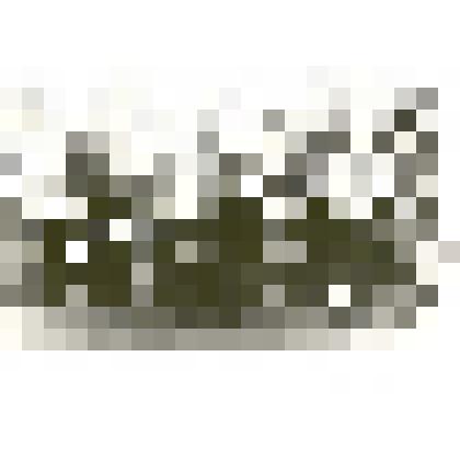 Фотография: учащиеся музыкальной школы №1 после одного года обучения. Копия