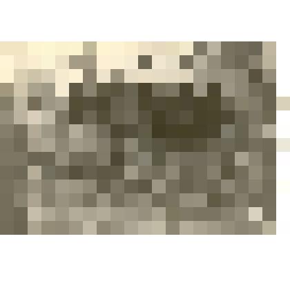 Фотография: закладка фундамента спортивного зала учащимися 10 группы Каменского училища механизации сельского хозяйства