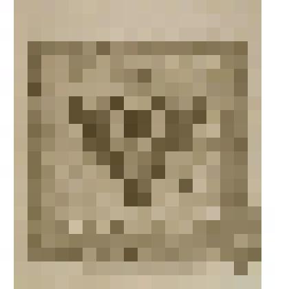 Гравюра. Паннир или Государственное знамя. Лист №6 из "Обстоятельного описания...коронования...императрицы Елизаветы Петровны"