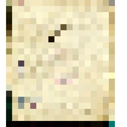 Сборник рукописный, содержит: "Нищий" А. Подолинского, "Субботний вечер в Шотландии" И. Козлова, "Дева семи ангелов" Б.Г. Розена и "Тайна" Б.Г. Розена