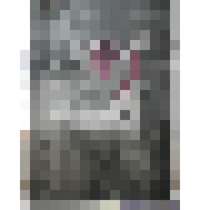 Стеклянный негатив 