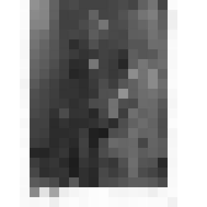 Фотография чёрно-белая. Коновалов П. А., участник ВОВ