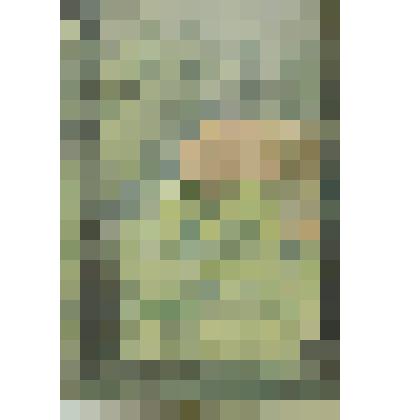 В саду. Рисунок