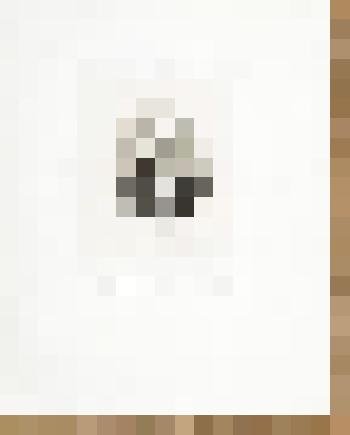 Портрет А.П. Морева