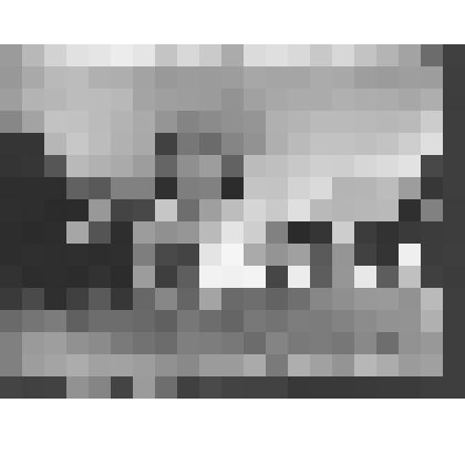 Церковь Большого Петергофского дворца. Вид с восточной стороны. Перепечатка с негатива кон.XIX-нач.ХХ вв