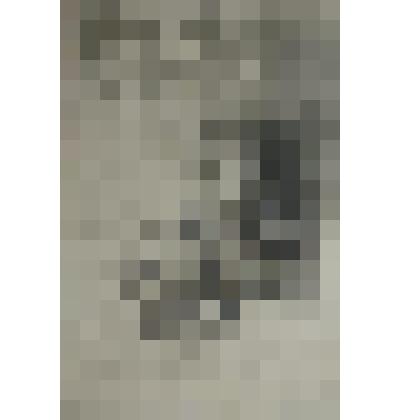 Л.Н. Толстой у сестры в Шамордине