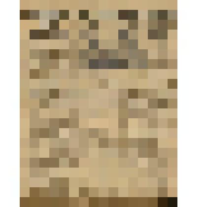 Газета. "Красный кавалерист" № 199