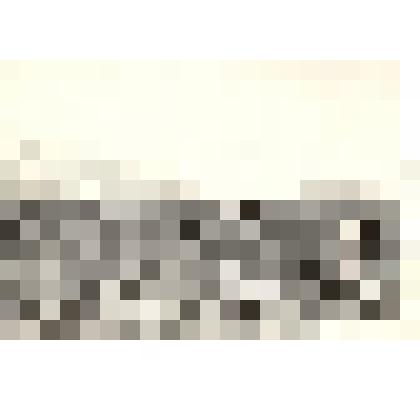 Фотография: работает бригада садоводов фруктово-ягодного сада Плотниковского совхоза Каменского района Алтайского края под руководством А.Артамонова