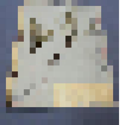 Ботаническая коллекция. Эфедра двухколосковая, семейство эфедровых, на гербарном листе,  склон горы у реки Енисей. Cем. Ephedraceae  ephedra Z  distachya Z