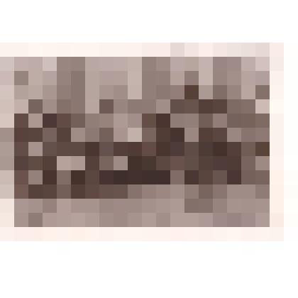 Фотография черно-белая " Пропагандисты райкома КПСС. Верхняя Тойма"