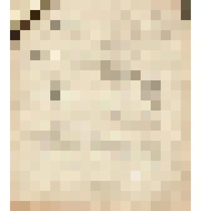 Телеграмма № 3521 в г. Чердынь В.Н.Алину от Шарина из г. Самары, 05.10.1909 г