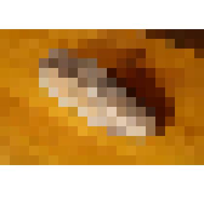 Колодка для обуви взрослая