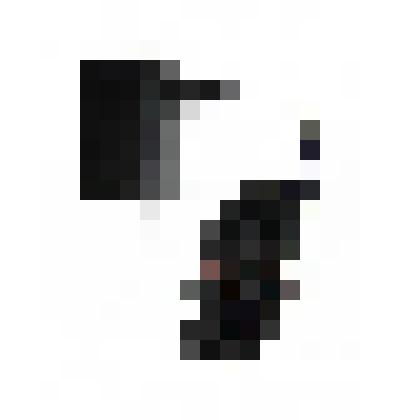 Блок питания (адаптер питания) типа "SGW-09EU-03"