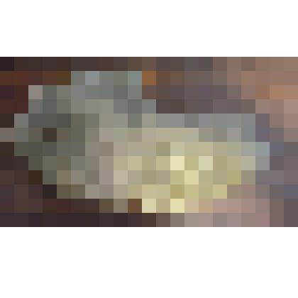 Известково-песчаная конкреция