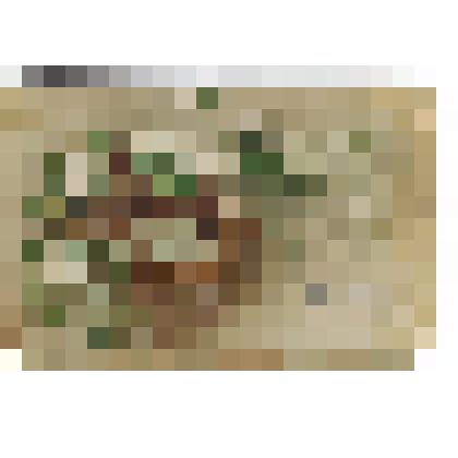 Открытка. "Христосъ  Воскресе."