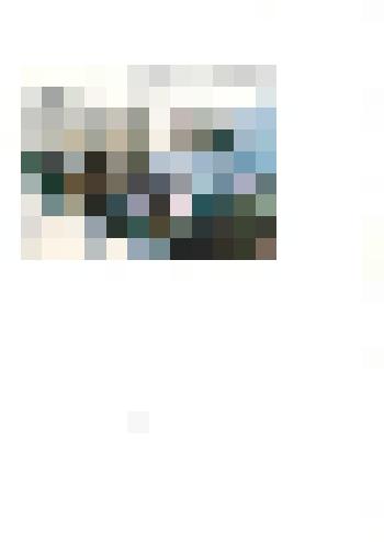 Фотография цветная. Ветераны Великой Отечественной войны.Митинг. 2000-е гг