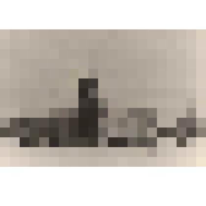 Фотография. Площадь с новогодней елкой