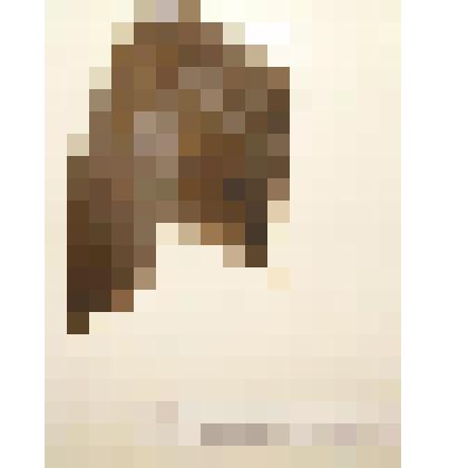 Крыло. Погоныш. Из коллекции